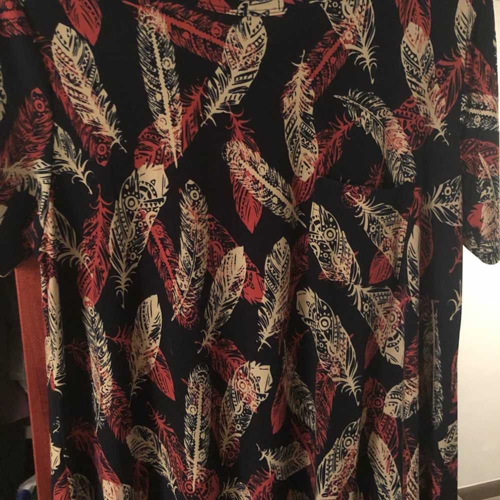 Medium lularoe Carly dress